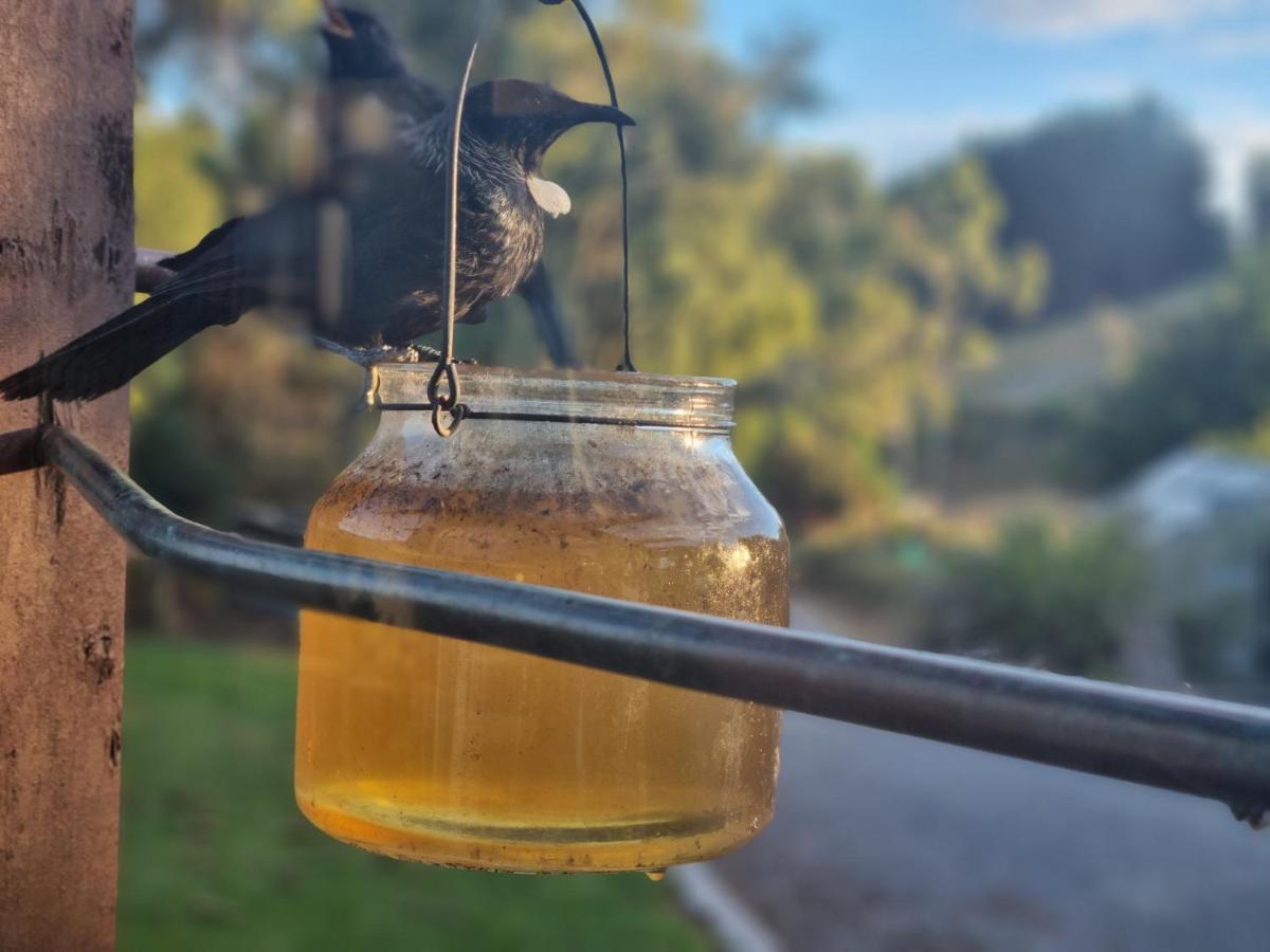 Catlins Lake Sanctuary Owaka エクステリア 写真